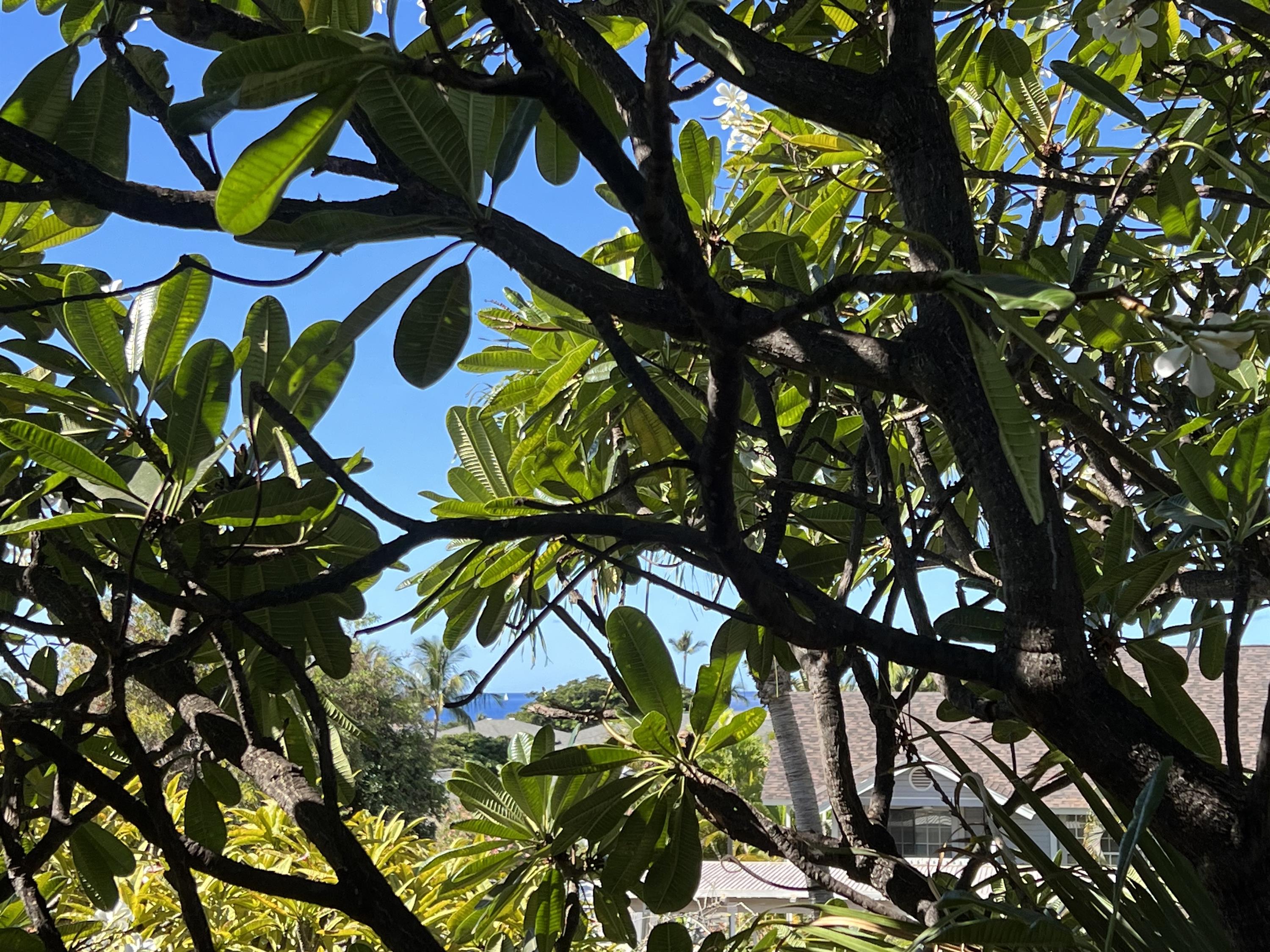 160 Keonekai Road